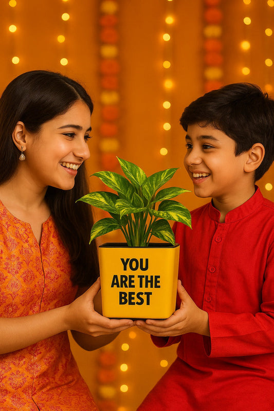 The Gift That Grows: Eco-Friendly Planters for a Thoughtful Rakhi