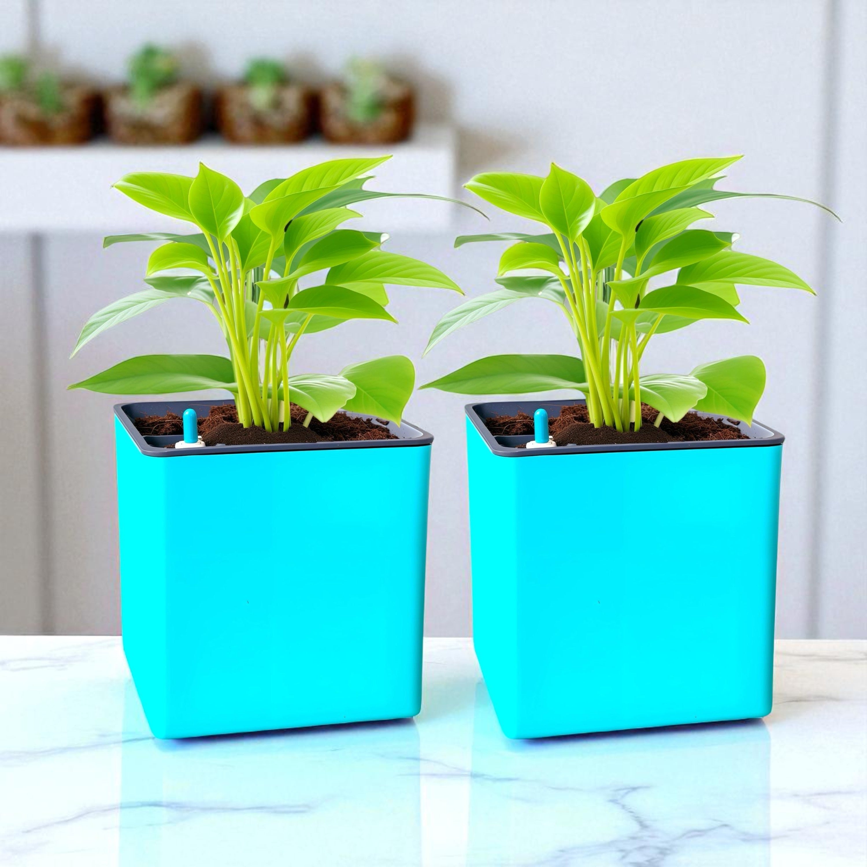 Elegant Peacock Green Self-Watering Square Planter