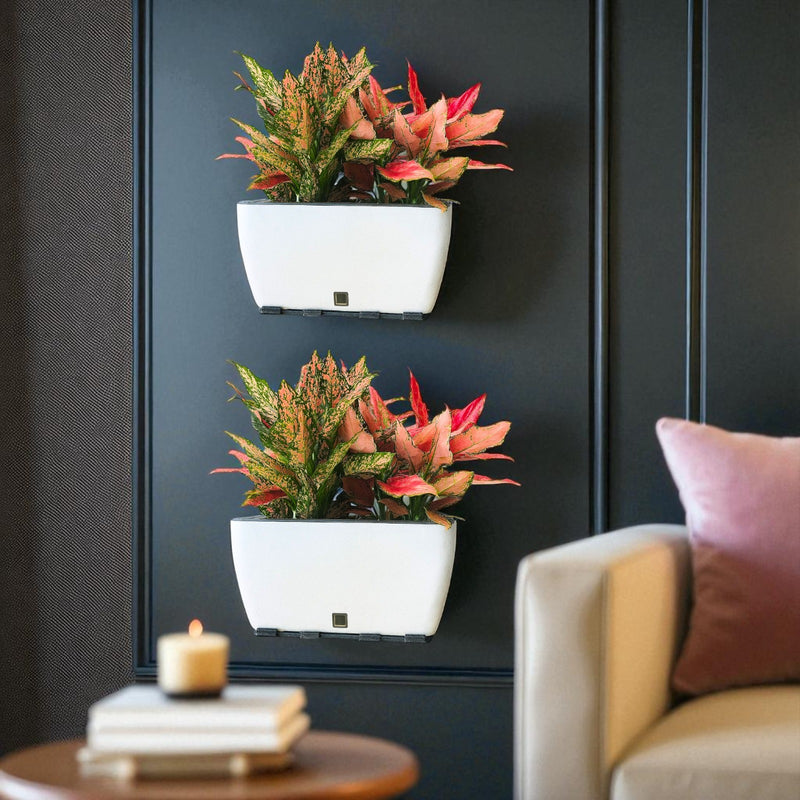 Rectangular Self-Watering Wall Planter - White