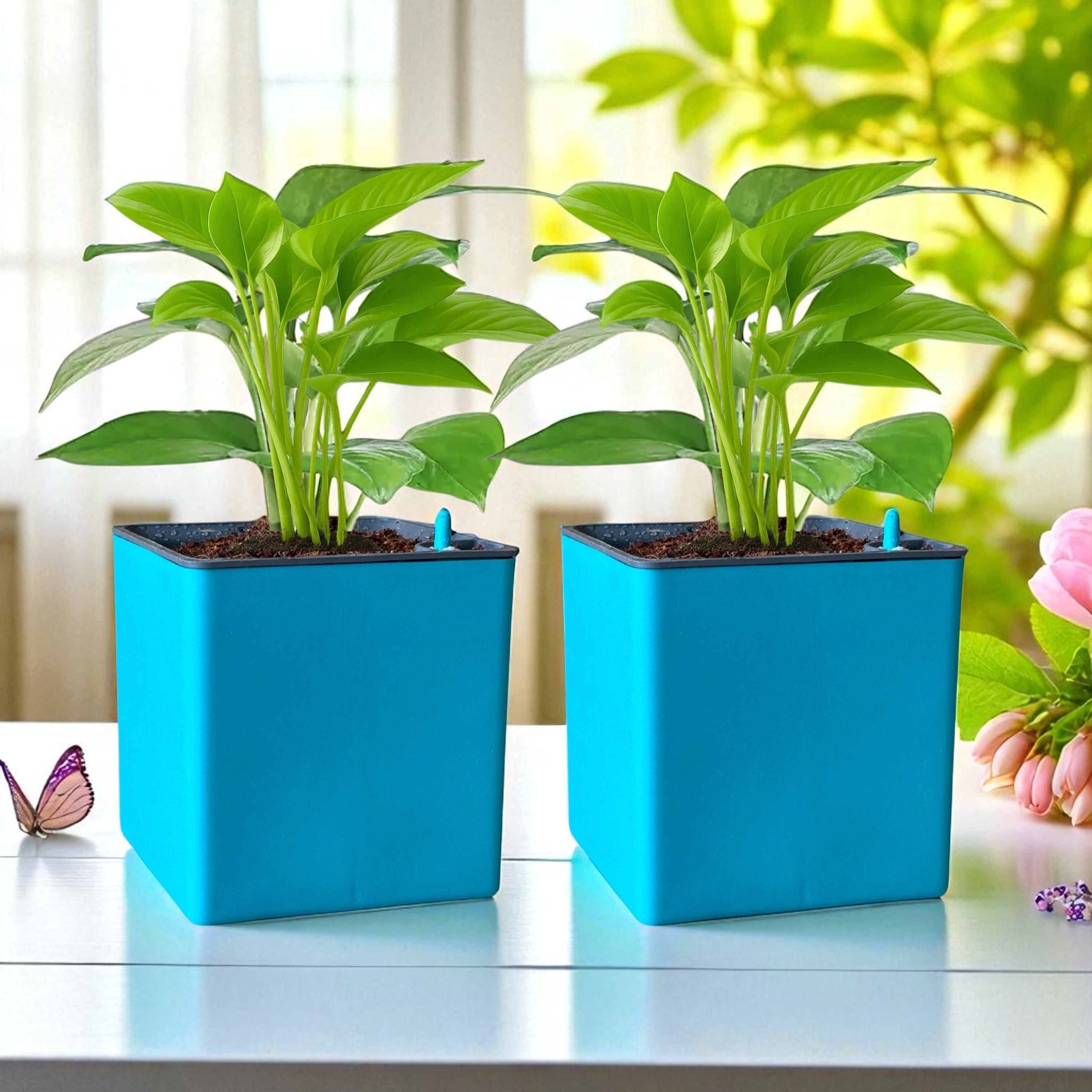 Elegant Sea Green Self-Watering Square Planter