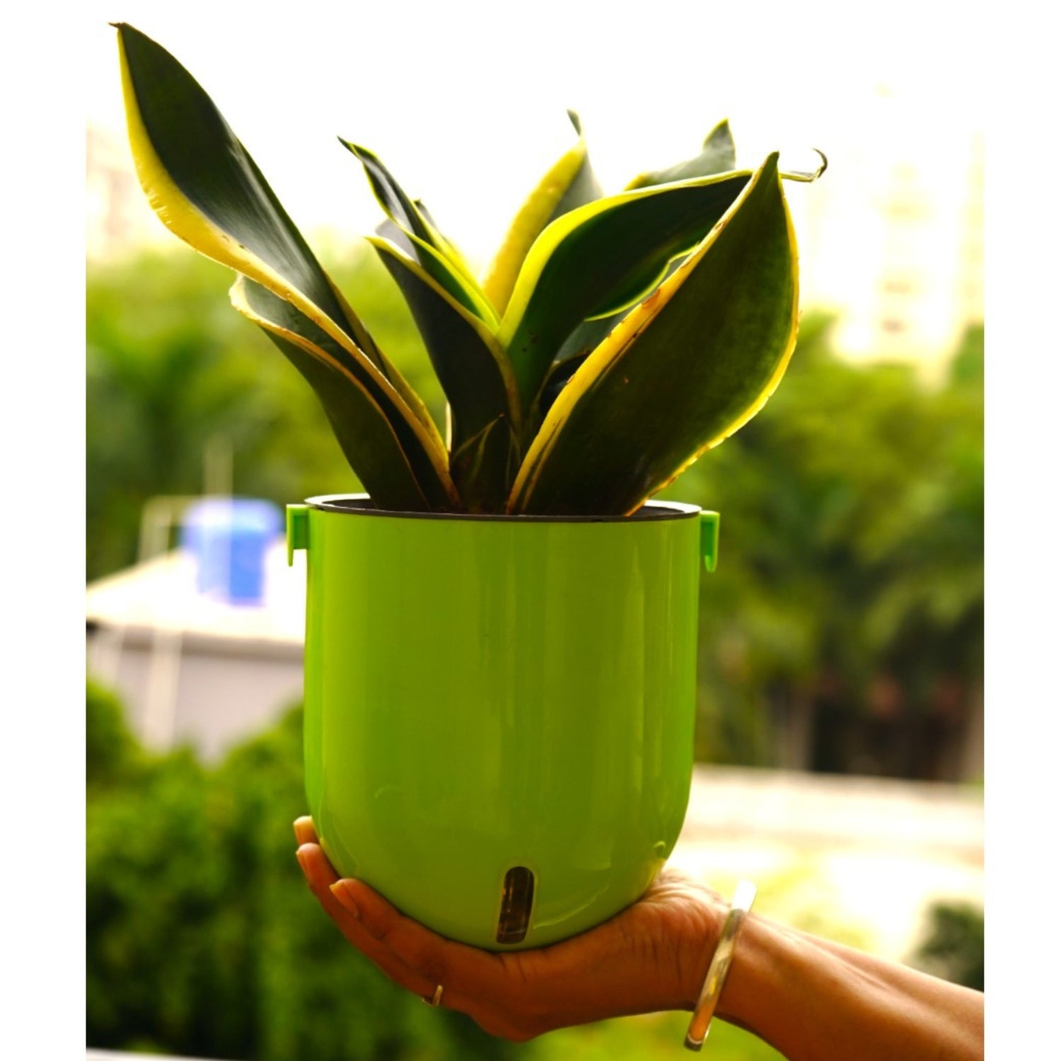 Elegant Parrot Green Self-Watering Wall Hanging Sphere Planter