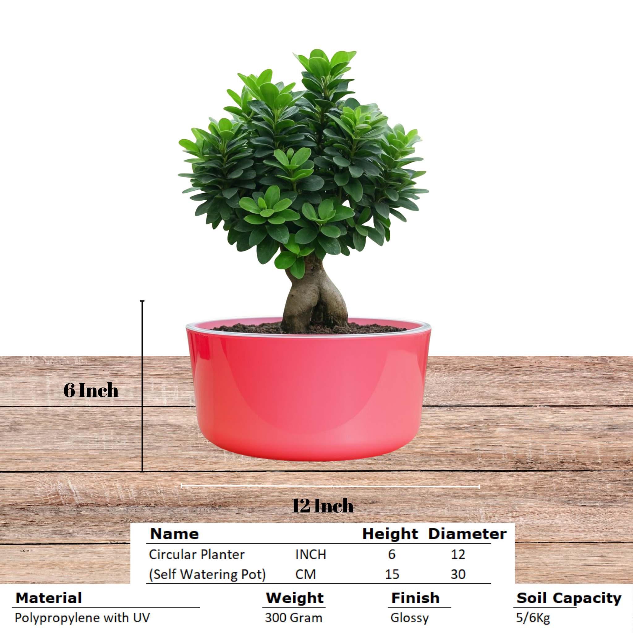 Big Circular Self-Watering Plant Container – Pink