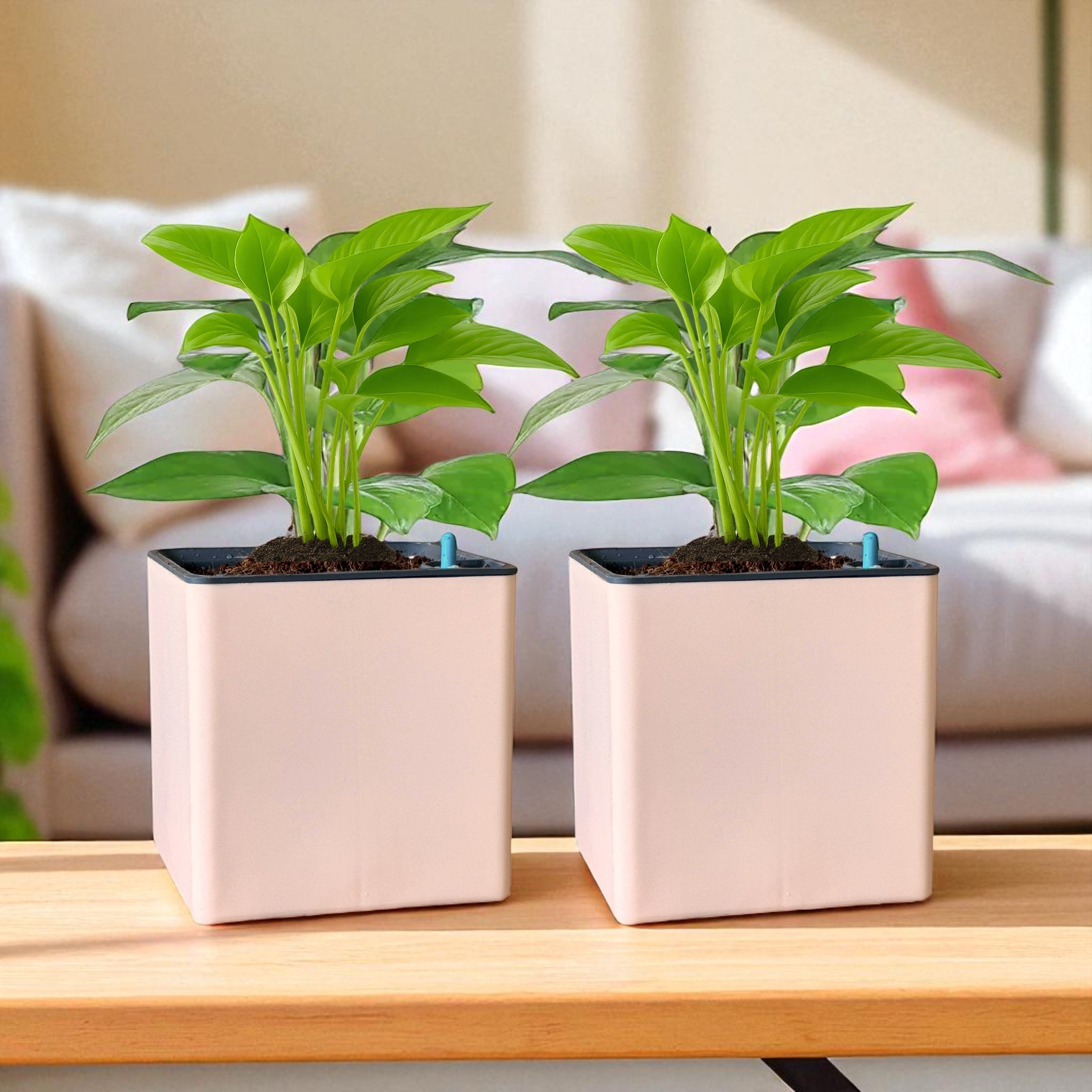 Elegant Peach Self-Watering Square Planter