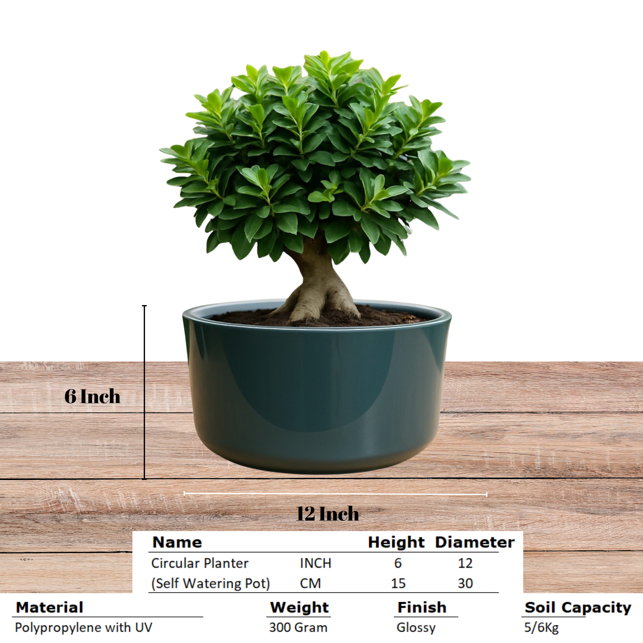 Big Circular Self-Watering Plant Container – Gray