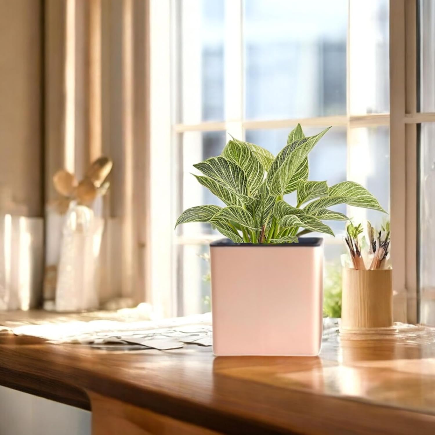 Elegant Peach Self-Watering Square Planter
