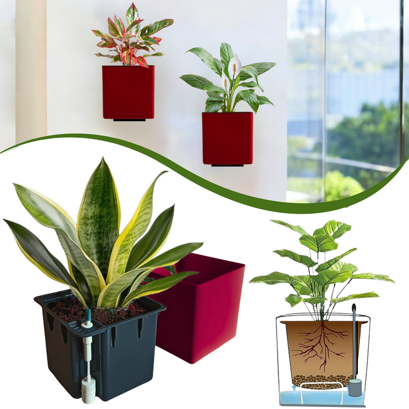 Elegant Maroon Self-Watering Wall Hanging Square Planter