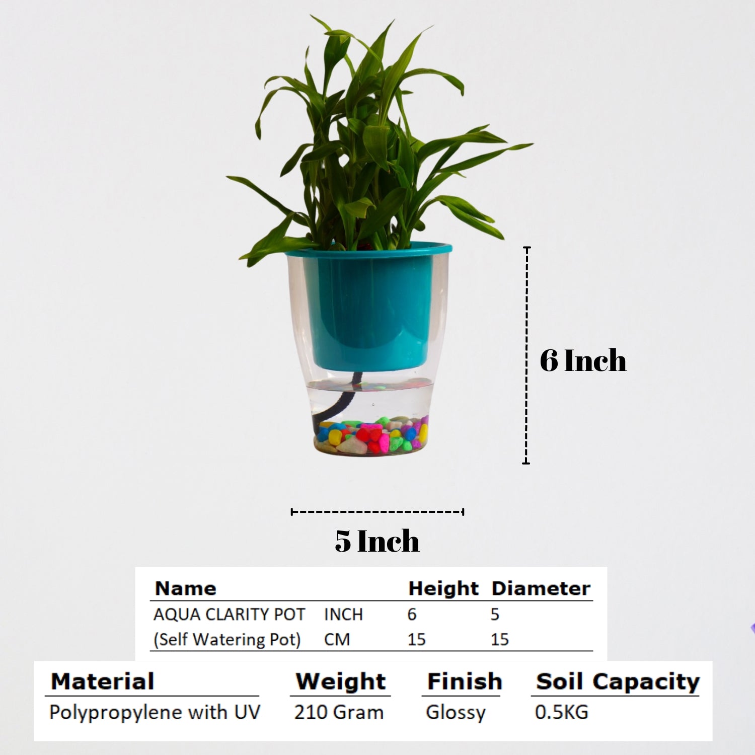 Elegant Sea Green Self-Watering Clear Planter-2PC