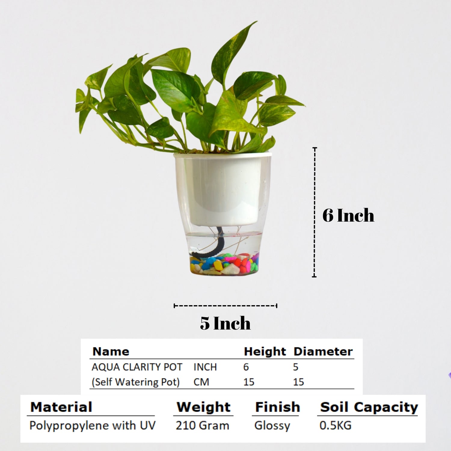 Elegant White Self-Watering Clear Planter-2PC