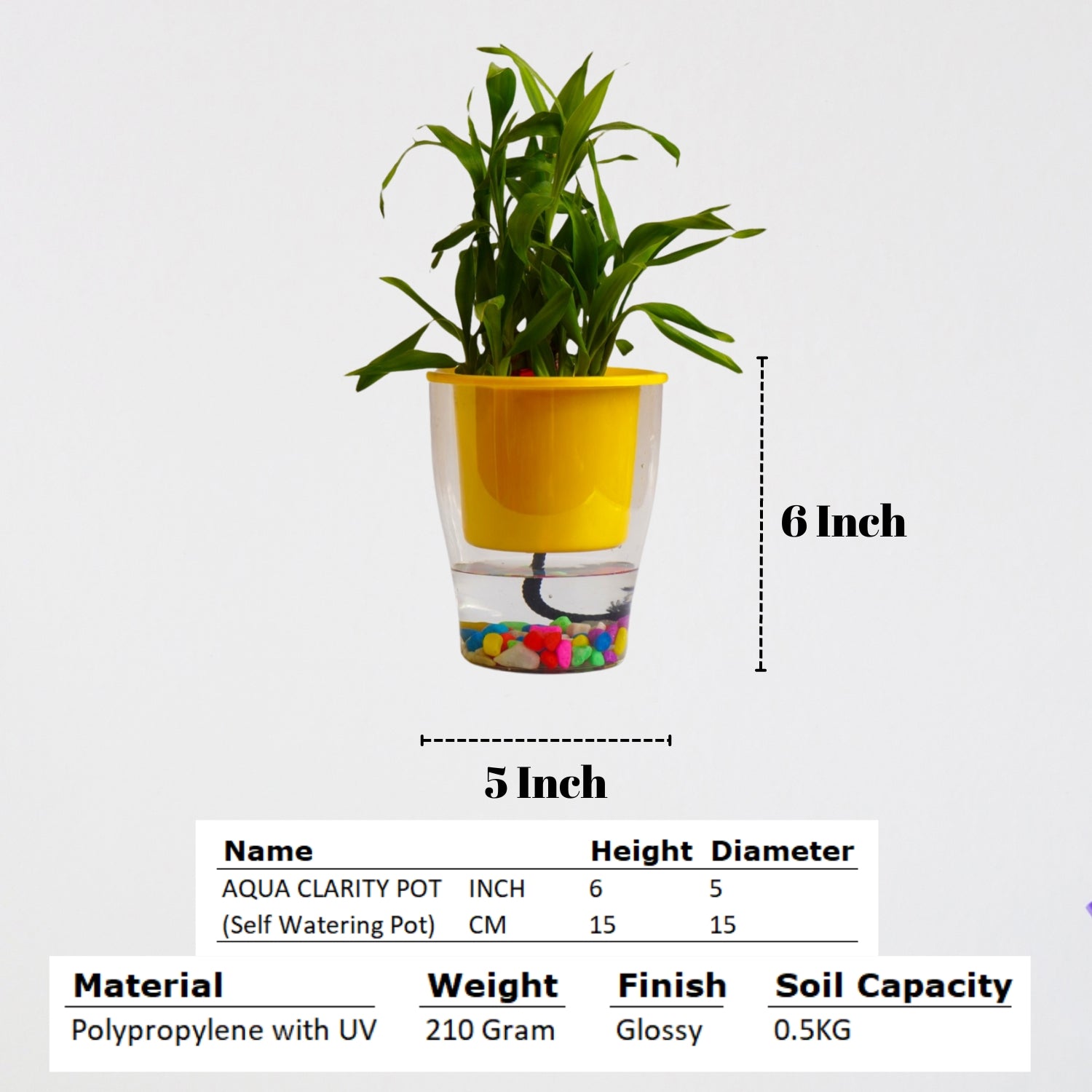 Elegant Yellow Self-Watering Clear Planter-2PC