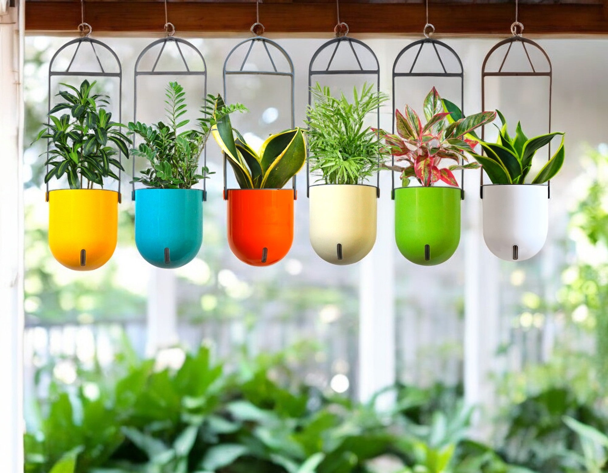 Elegant Multi-Color Self-Watering Ceiling Hanging Sphere Planter-6 PC