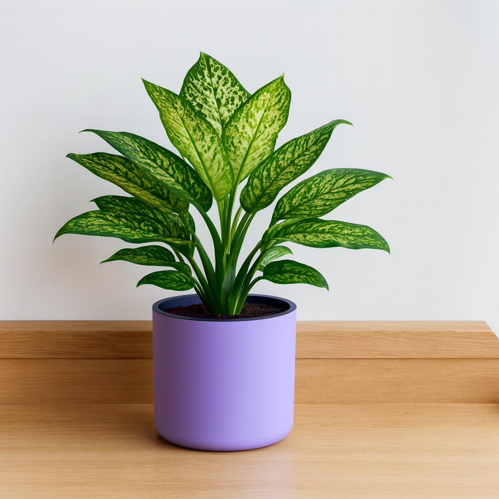 Classic Violet Self-Watering Round Planter