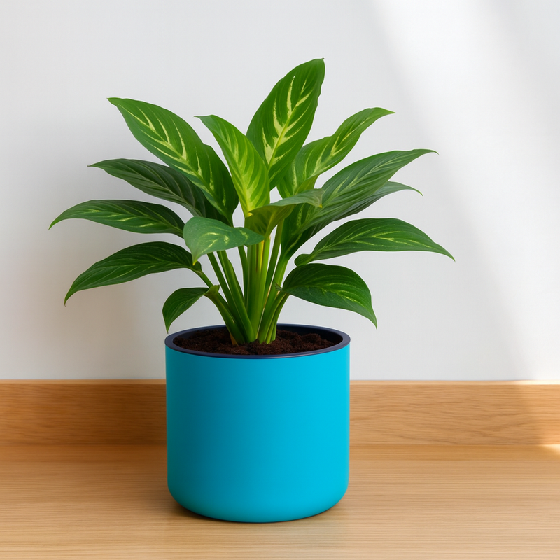 Classic Sea Green Self-Watering Round Planter