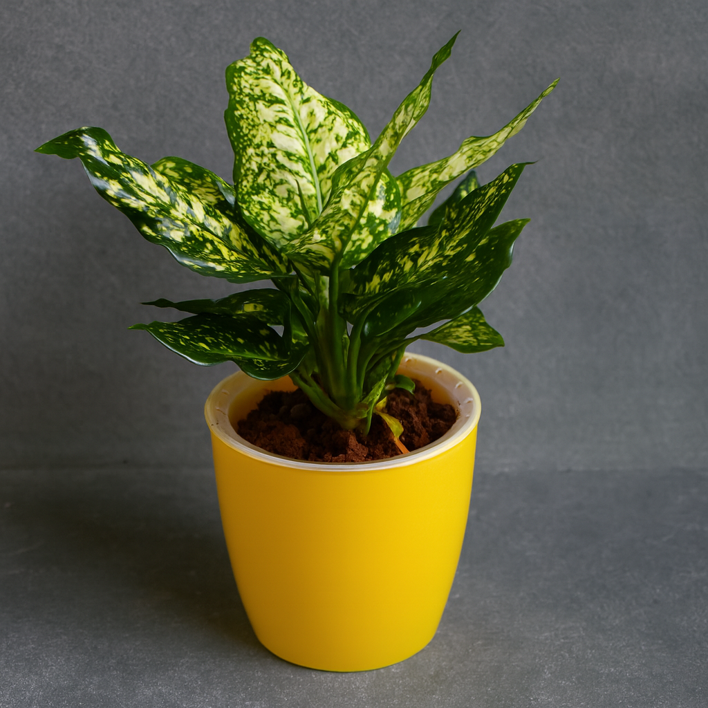 Elegant Yellow Self-Watering Vistara Planter-2PC