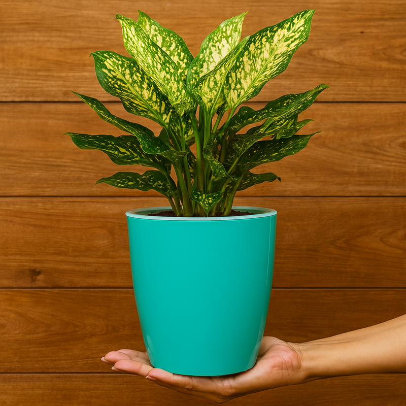 Elegant Peacock Green Self-Watering Vistara Planter-2PC