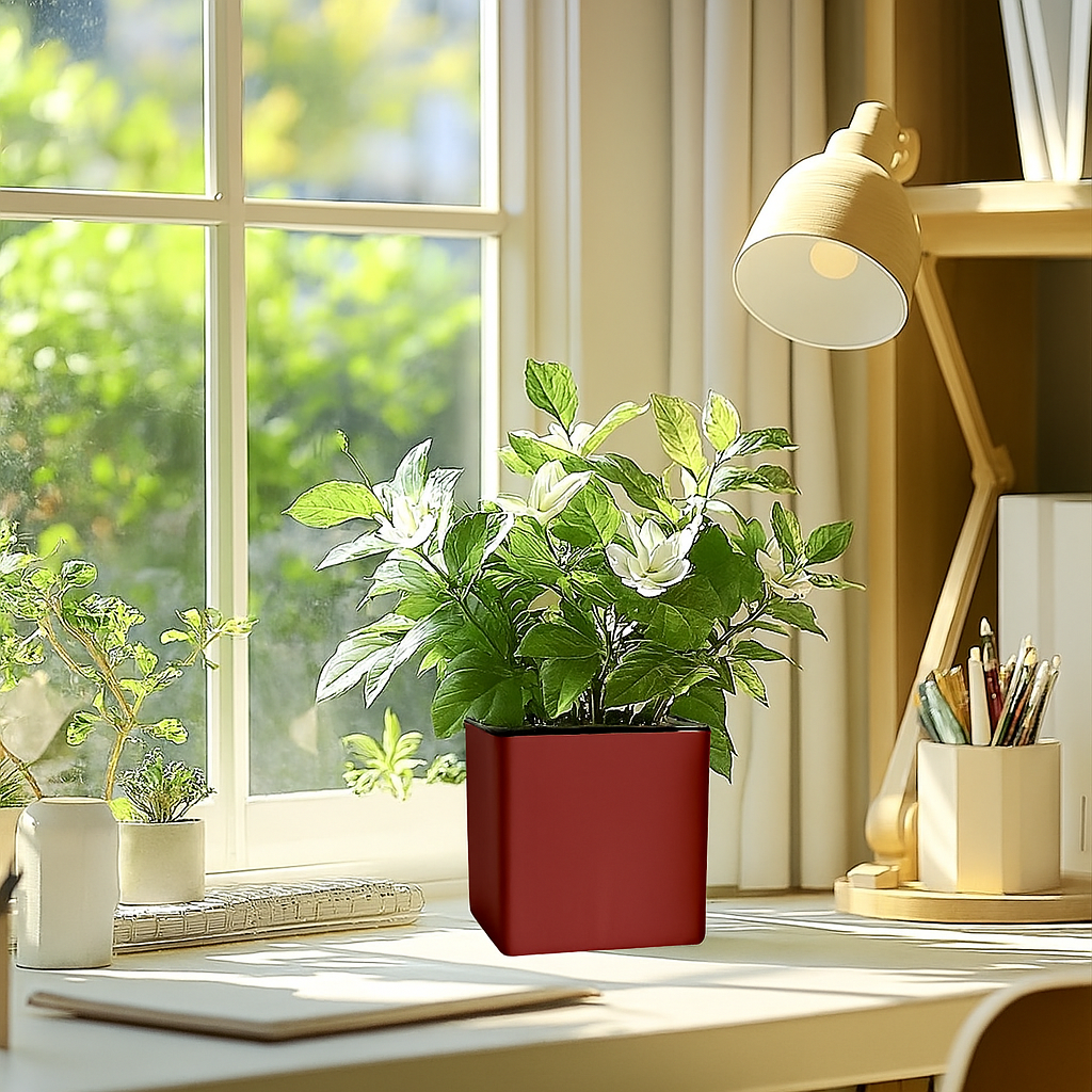 Elegant Maroon Self-Watering Square Planter