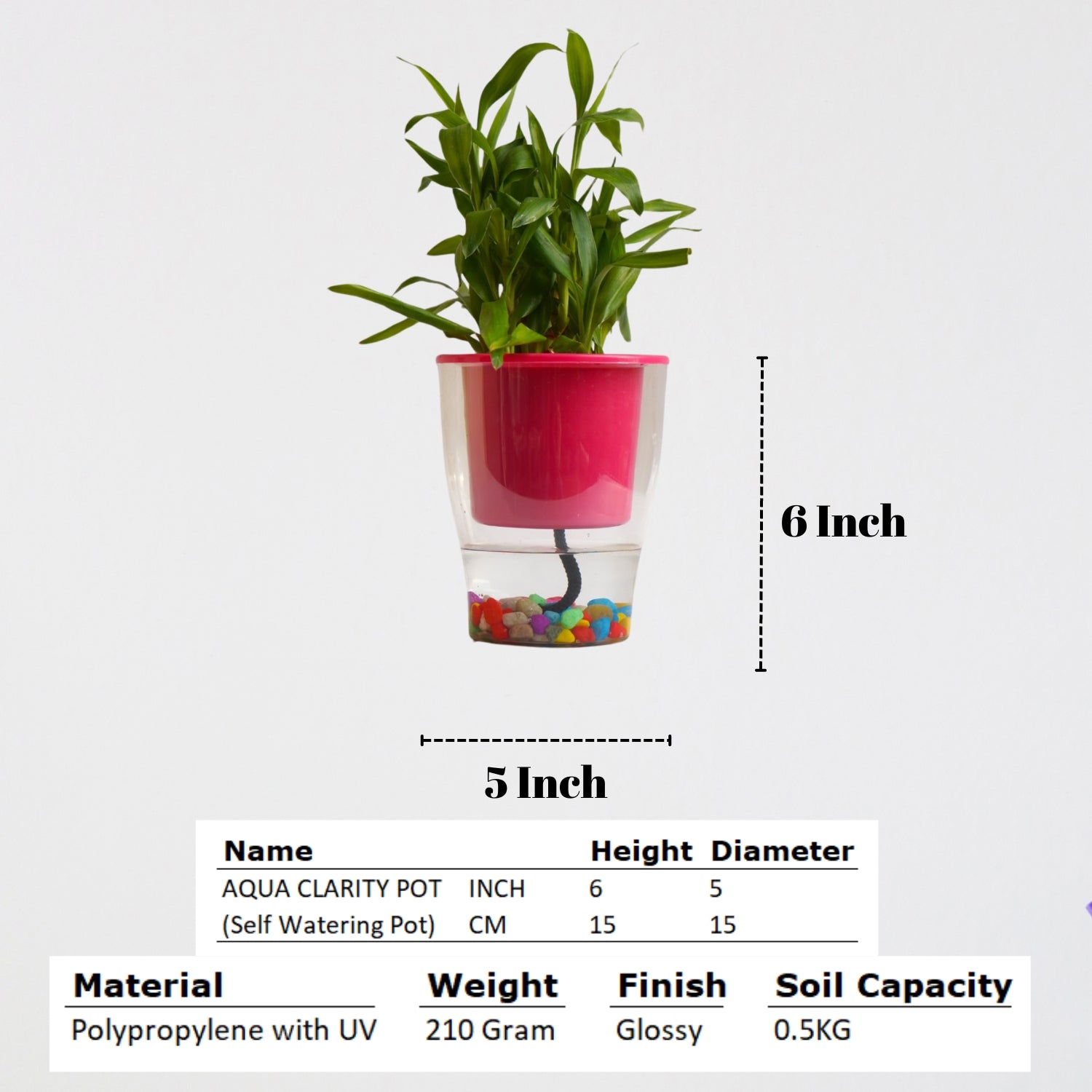 Elegant Pink Self-Watering Clear Planter-2PC