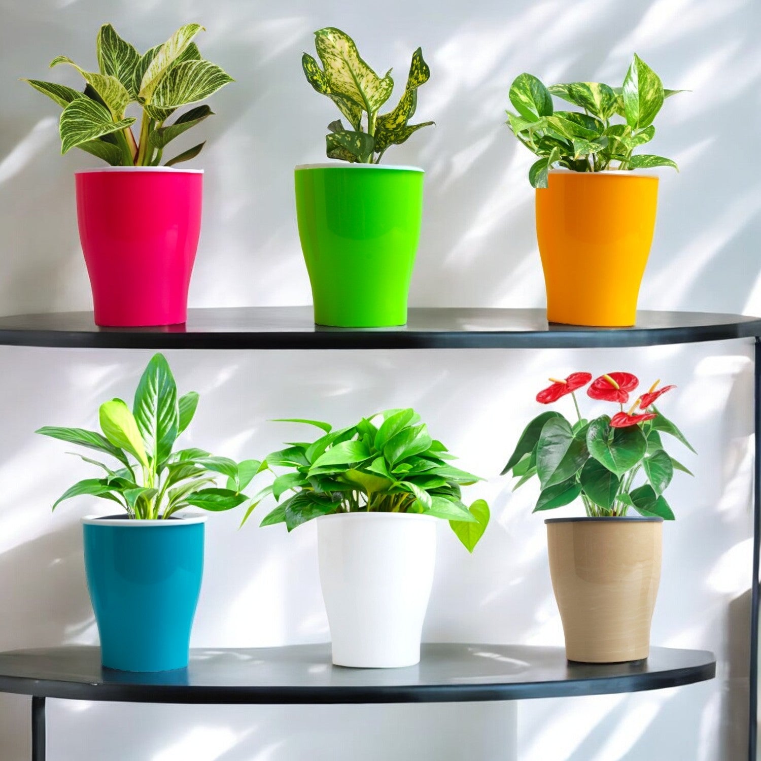 Elegant Multi-Color Self-Watering Cone Planter-6PC