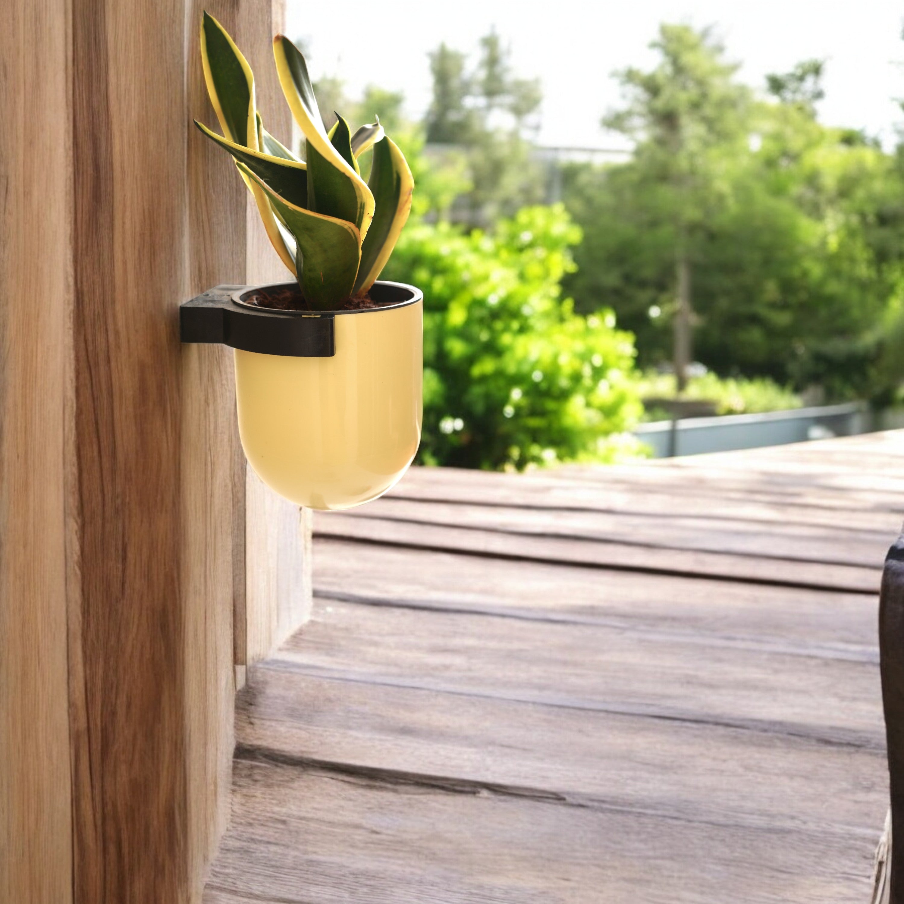 Elegant Ivory Self-Watering Wall Hanging Sphere Planter