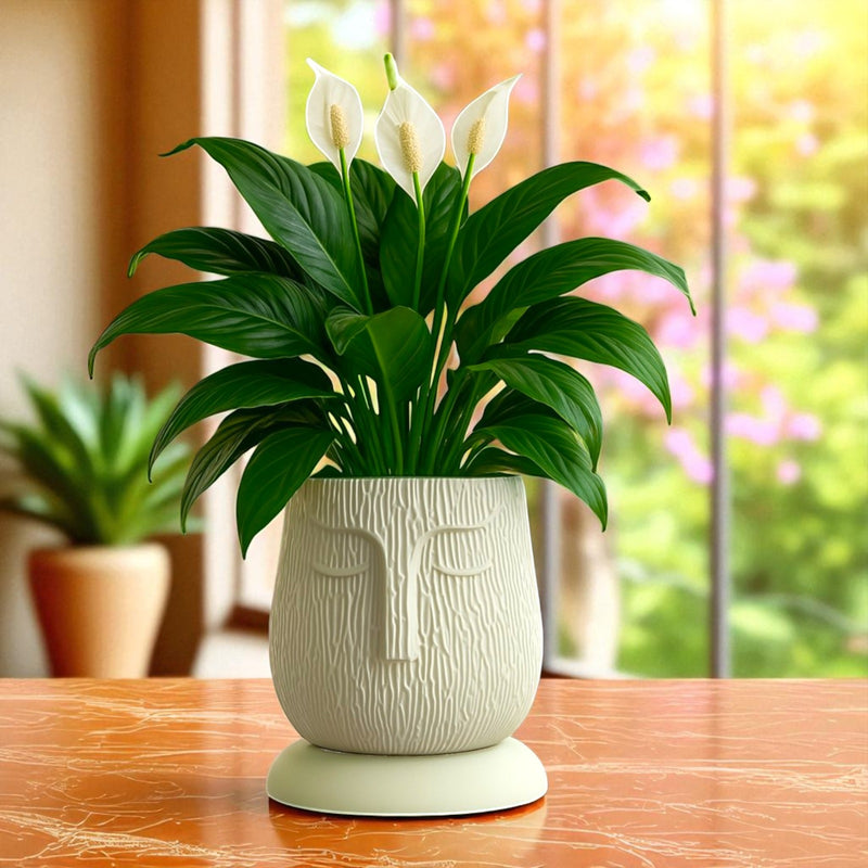 Artistic Ivory Self Watering Face Craft Planter - 1PC