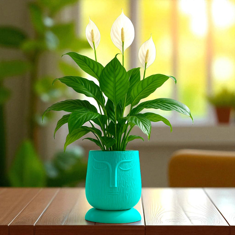 Artistic Peacock Green Self Watering Face Craft Planter - 1PC