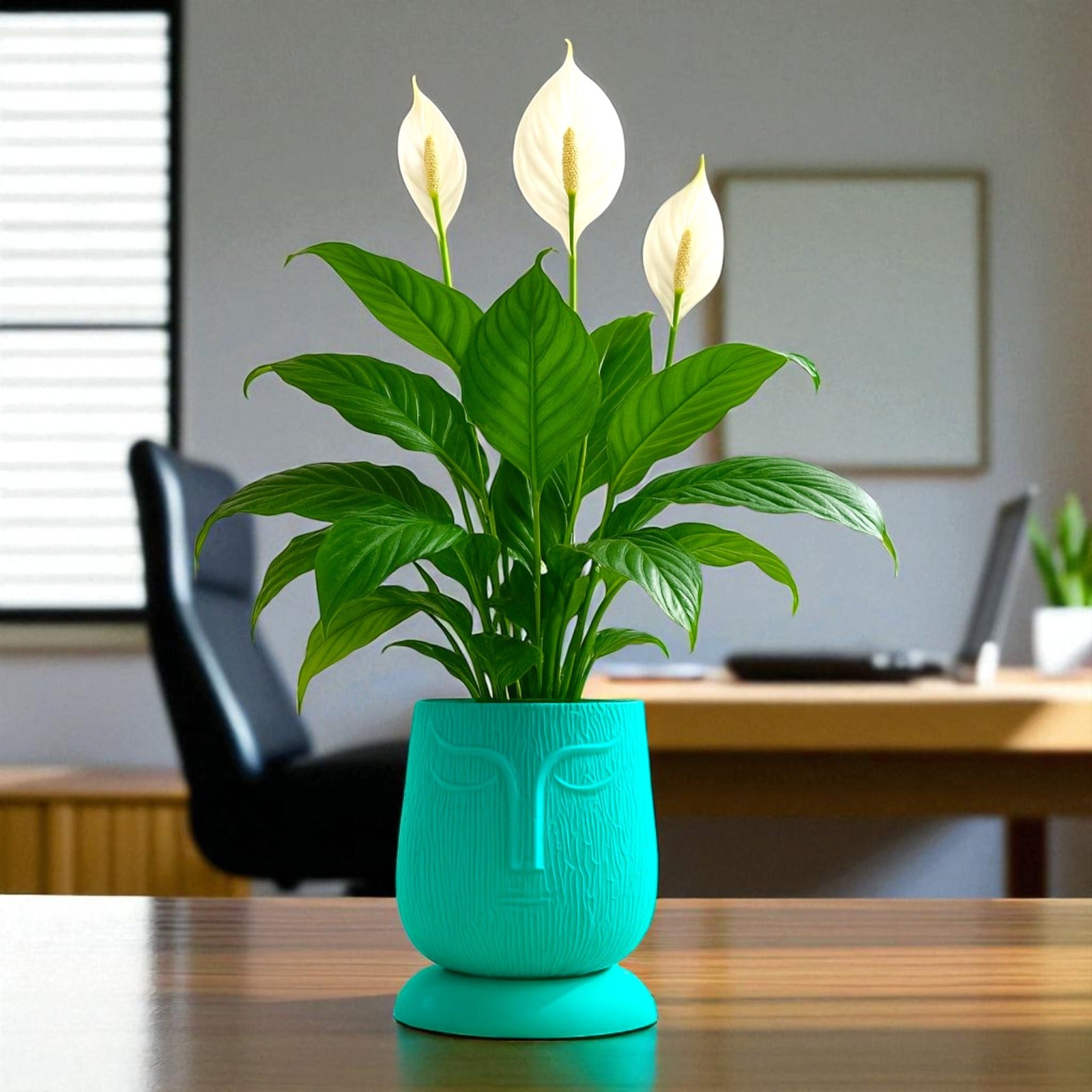 Artistic Peacock Green Self Watering Face Craft Planter - 1PC