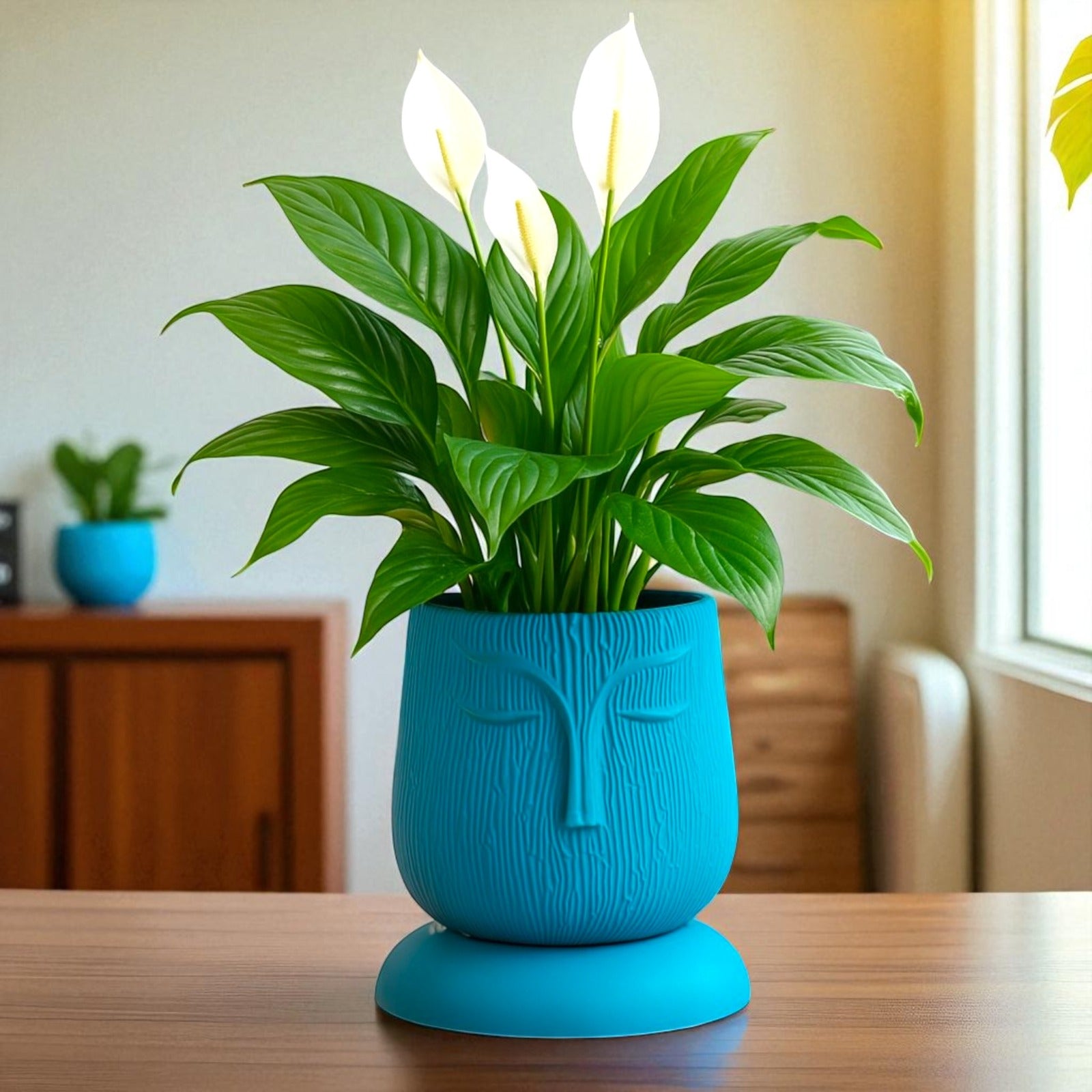 Artistic Sea Green Self Watering Face Craft Planter - 1PC