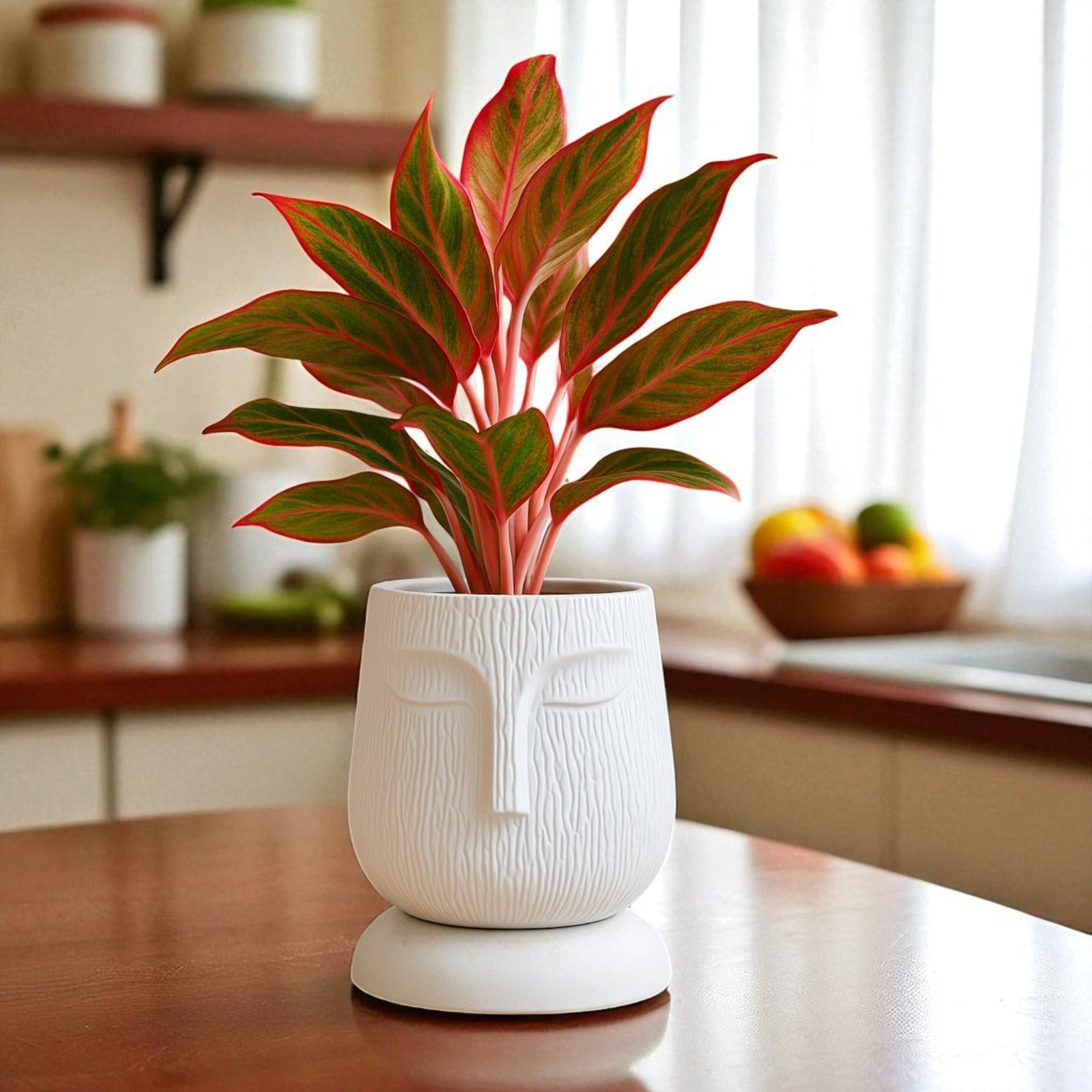 Artistic Self Watering Face Craft White Planter-1PC