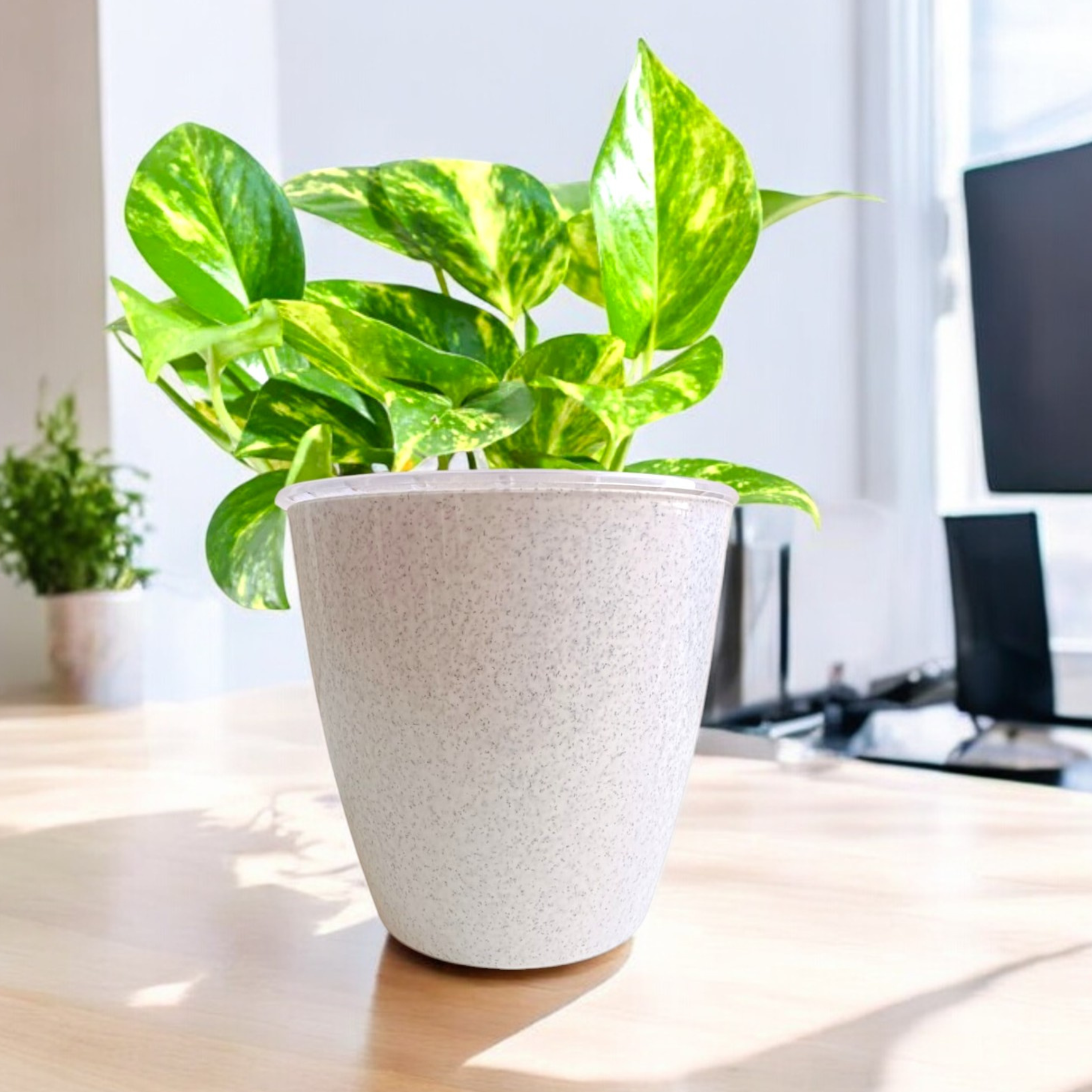 Elegant Planter – Grace in Every Corner