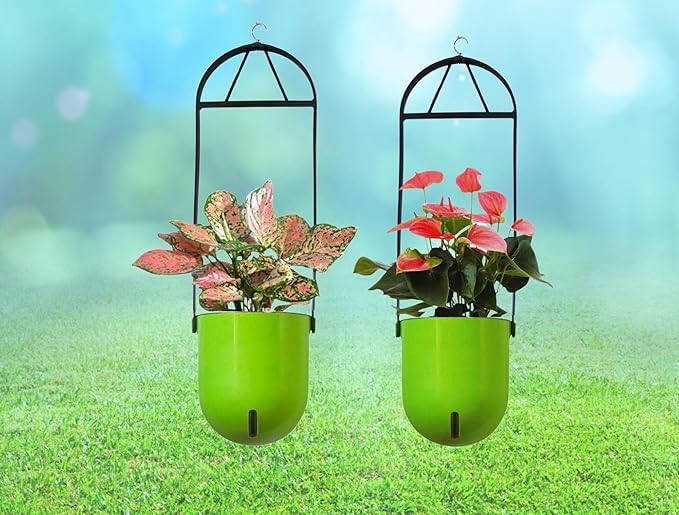 Elegant Green Self-Watering Ceiling Hanging Sphere Planter