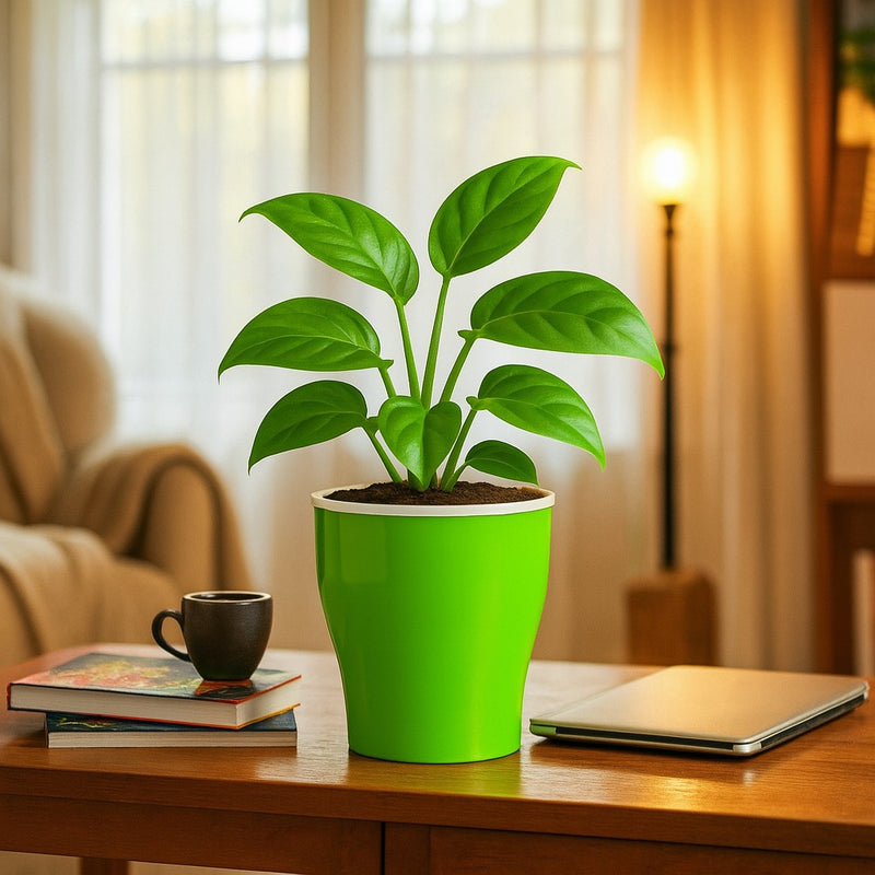 Elegant Green Self-Watering Cone Planter-2PC