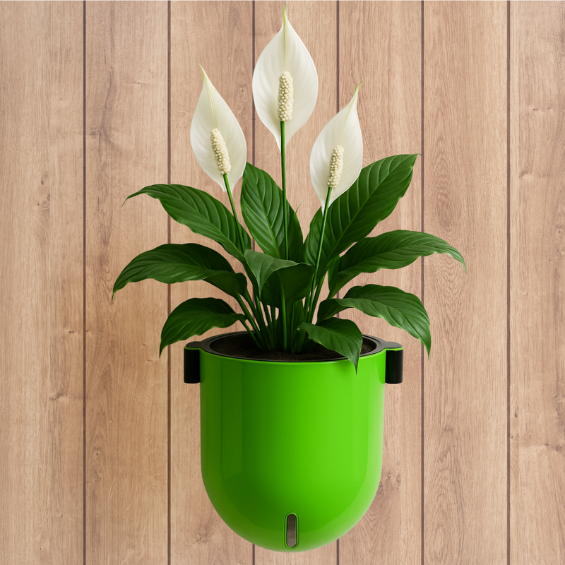 Elegant Parrot Green Self-Watering Wall Hanging Sphere Planter