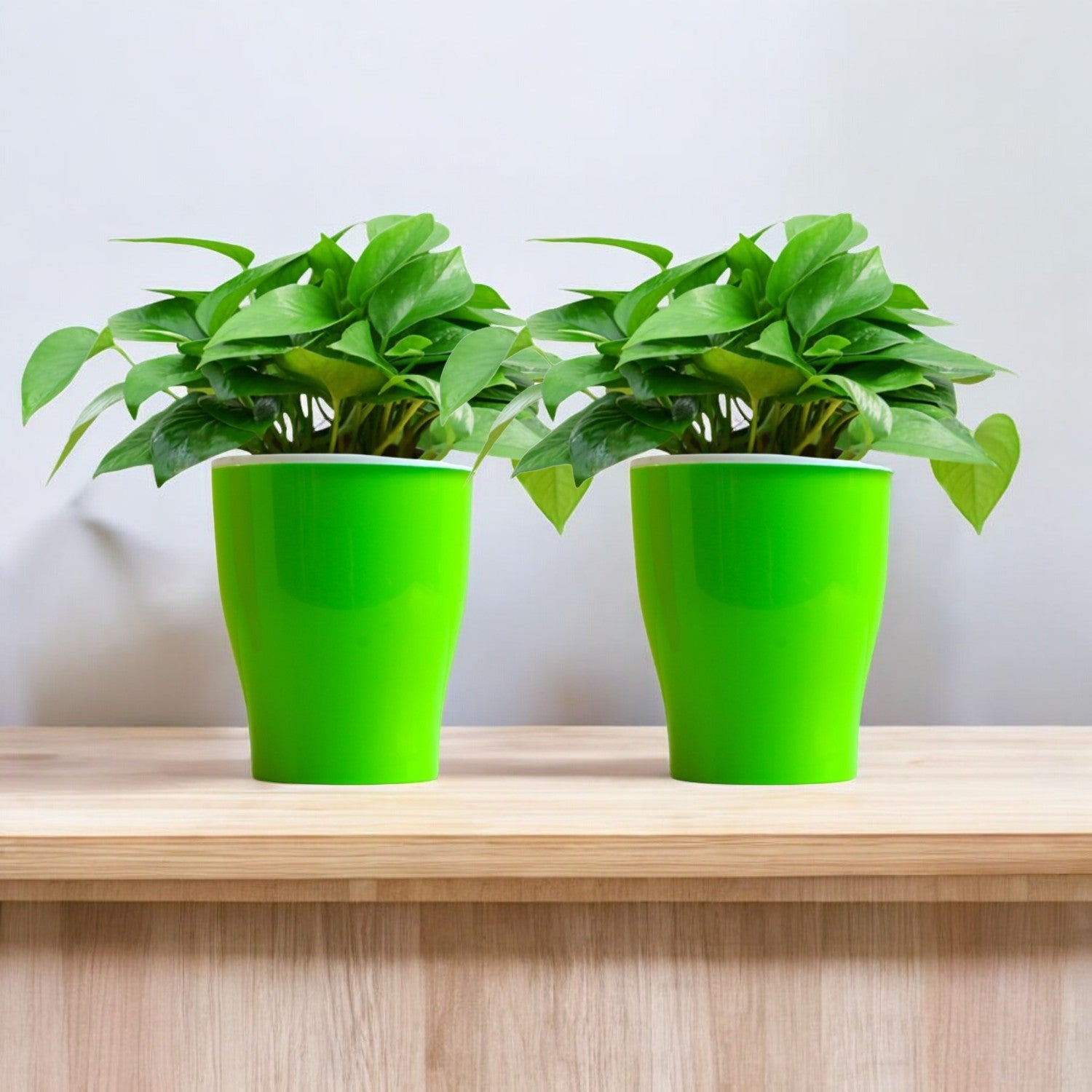 Elegant Green Self-Watering Cone Planter-2PC