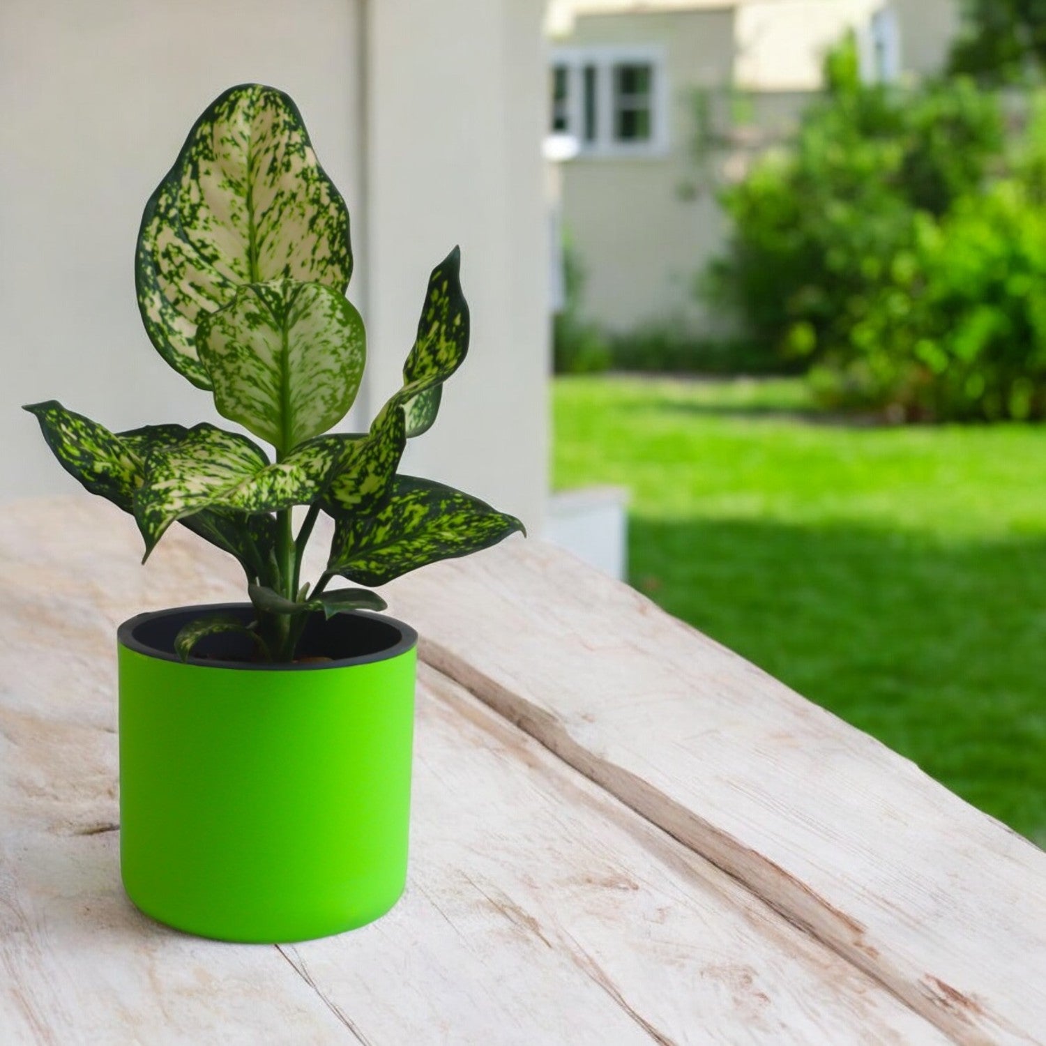Classic Parrot Green Self-Watering Round Planter