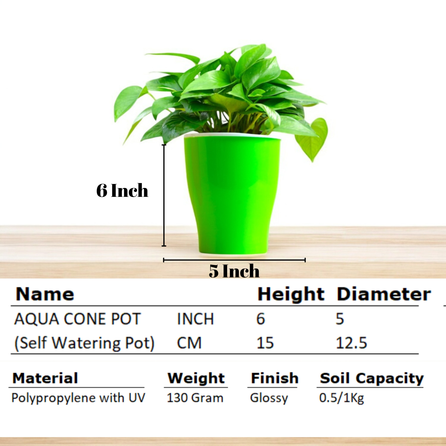 Elegant Green Self-Watering Cone Planter-2PC