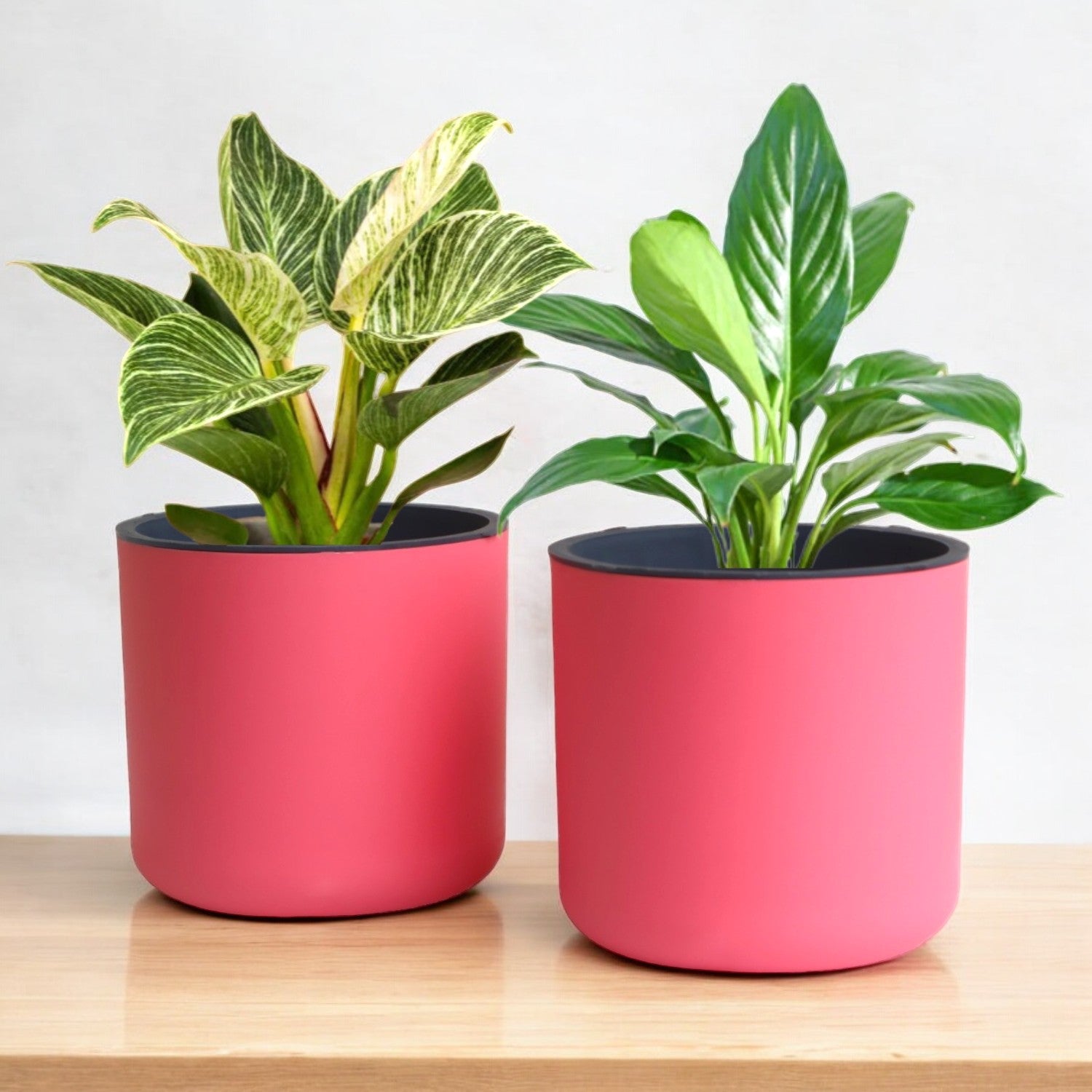 Classic Baby Pink Self-Watering Round Planter