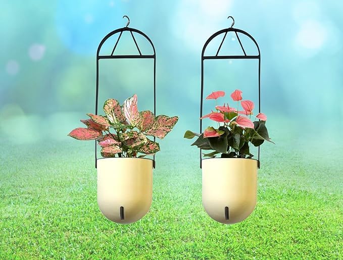 Elegant Ivory Self-Watering Ceiling Hanging Sphere Planter