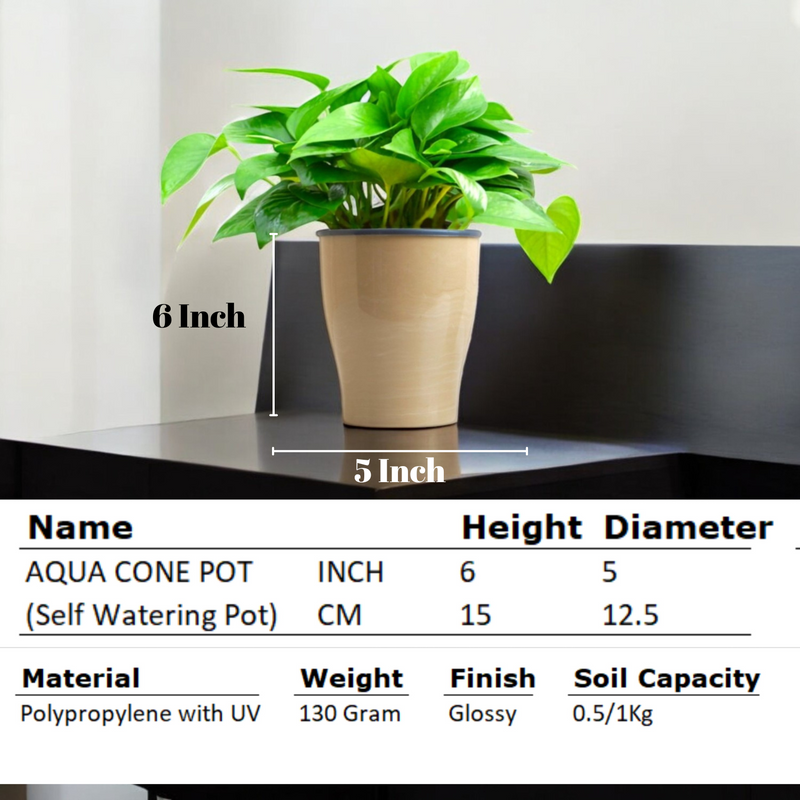 Elegant Italian Marble Self-Watering Cone Planter-2PC