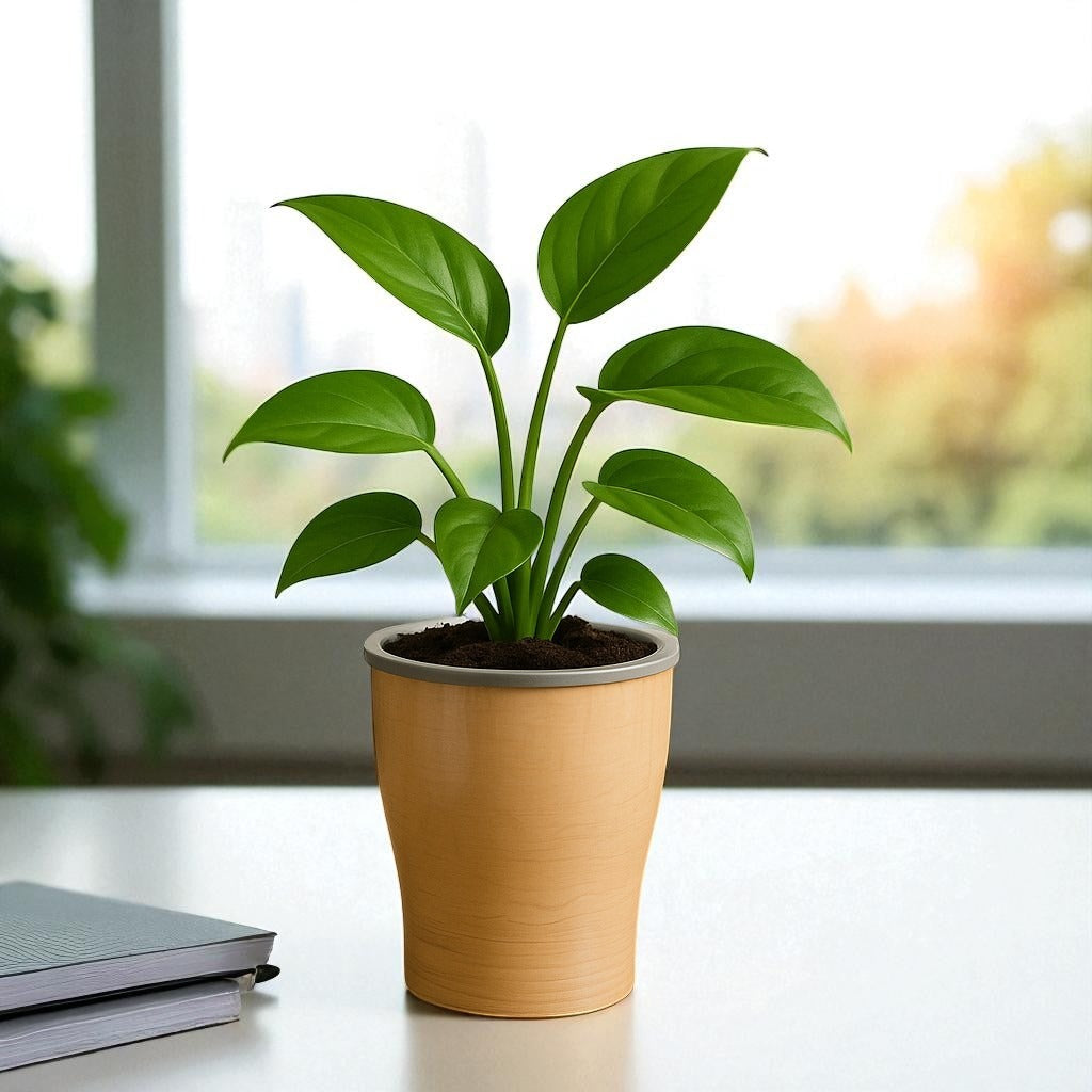 Elegant Italian Marble Self-Watering Cone Planter-2PC