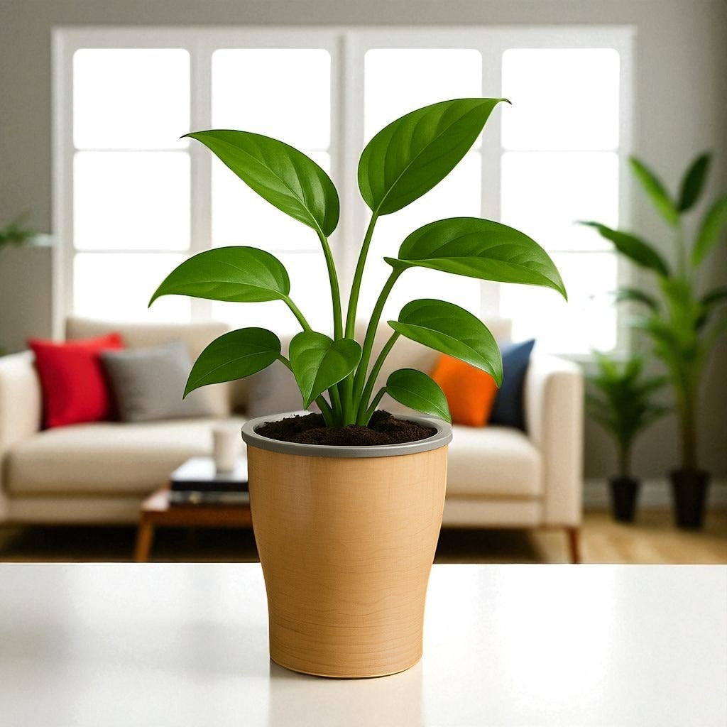 Elegant Italian Marble Self-Watering Cone Planter-2PC
