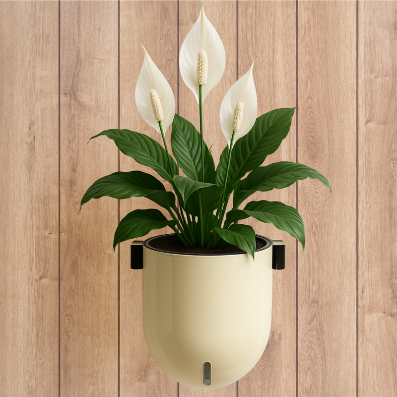 Elegant Ivory Self-Watering Wall Hanging Sphere Planter