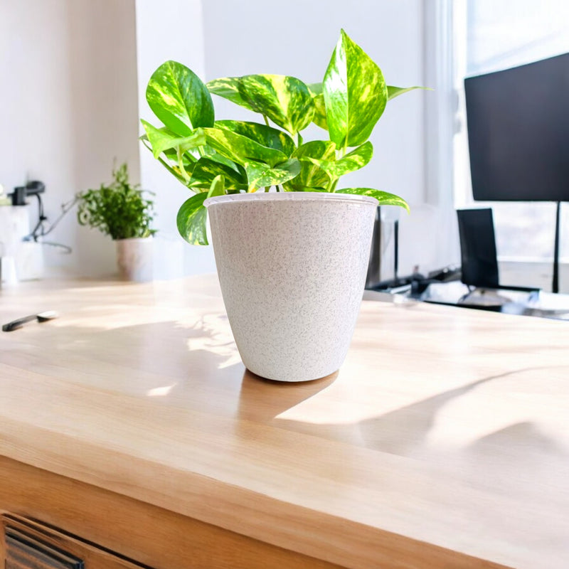 Elegant Planter – Grace in Every Corner