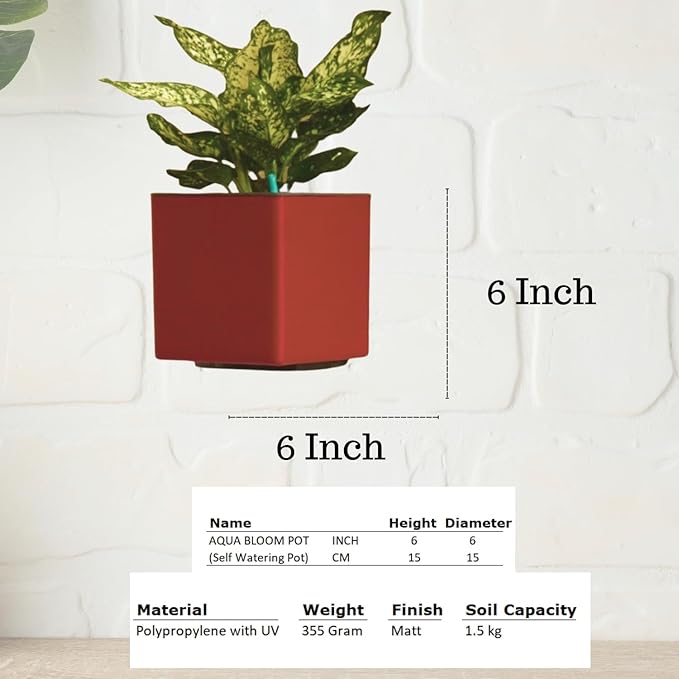 Indian Discovery Self-Watering Wall Hanging Planters (1 Pcs, Maroon, Square) | UV-Resistant Hanging Pots with Stand | Plastic Planters for Balcony, Living Room, Home Décor & Gardening