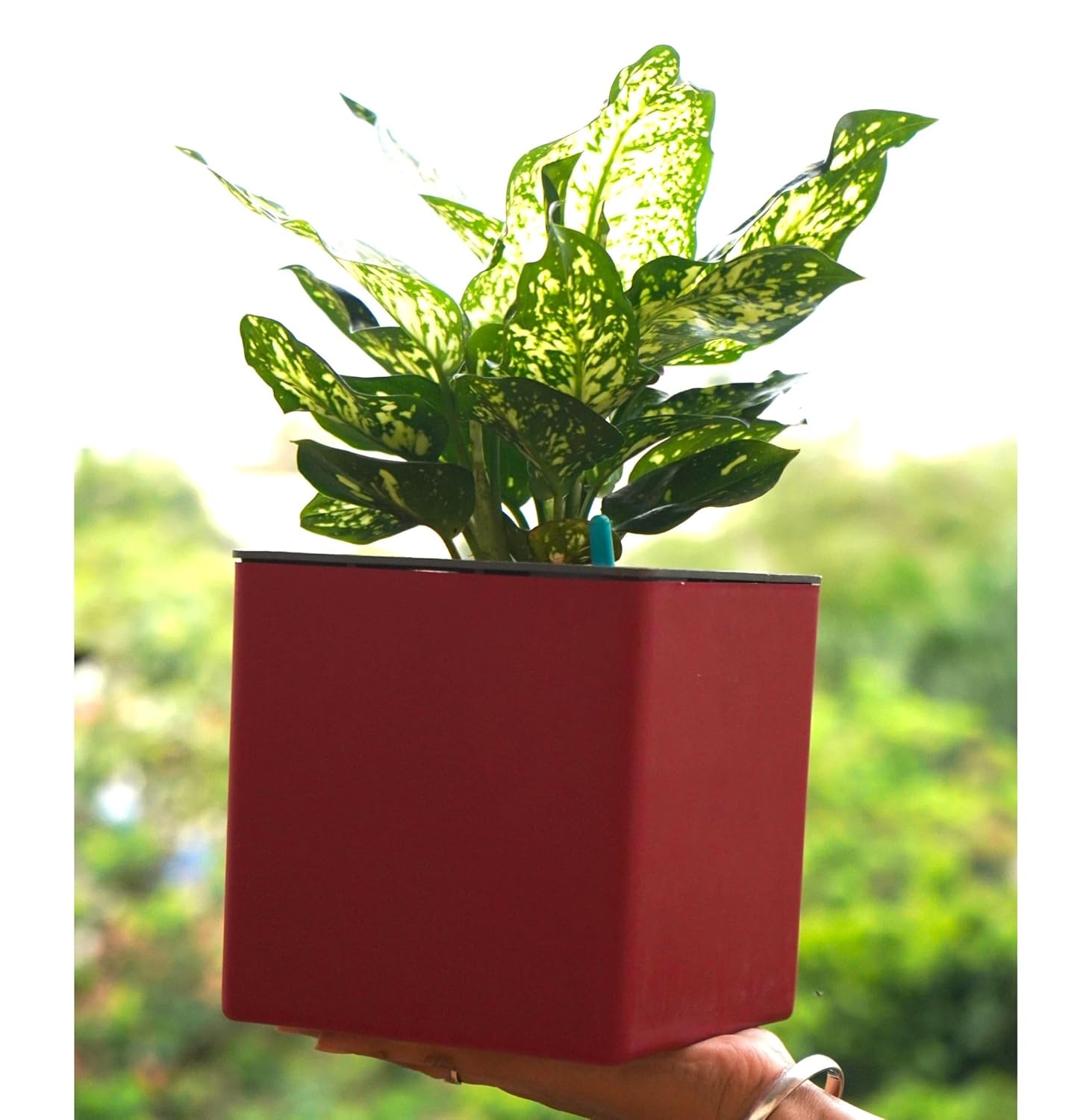 Elegant Multi-Color Self-Watering Square Planter - 7 PC