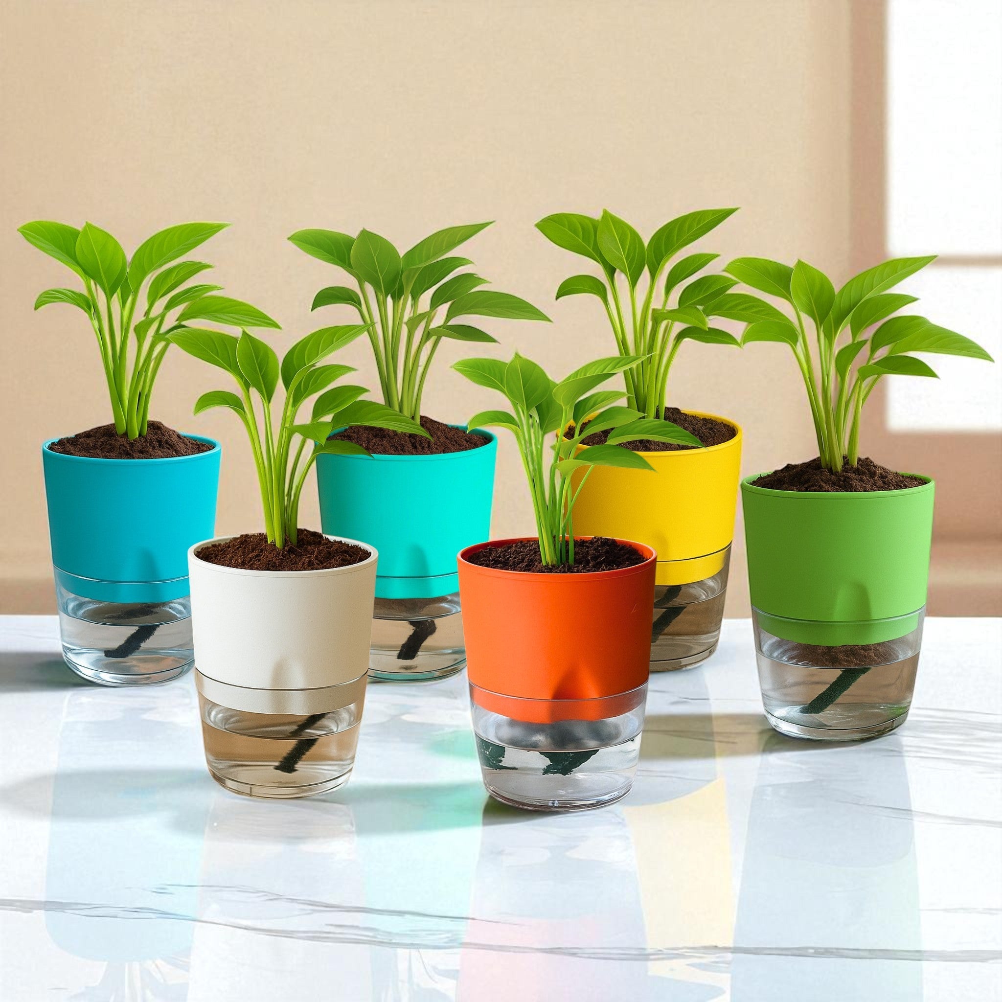 Soft Curve Multi-Color Self-Watering Small Planter - 6 PC