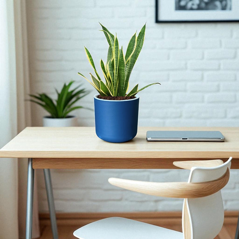 Classic Royal Blue Self-Watering Round Planter