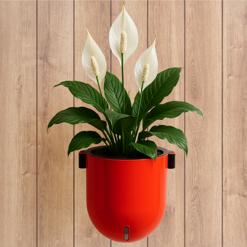 Elegant Orange Self-Watering Wall Hanging Sphere Planter