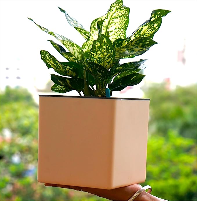 Elegant Multi-Color Self-Watering Square Planter - 7 PC
