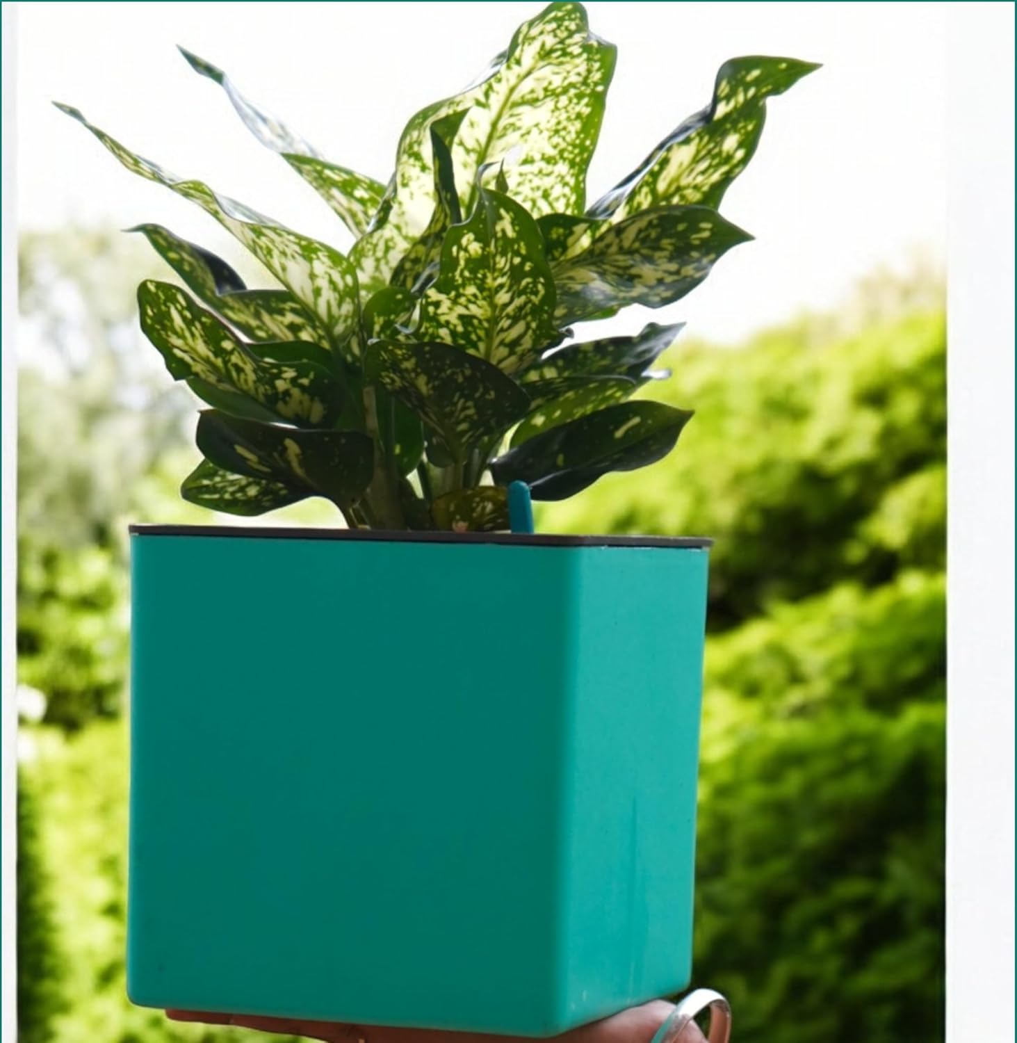 Elegant Multi-Color Self-Watering Square Planter - 7 PC