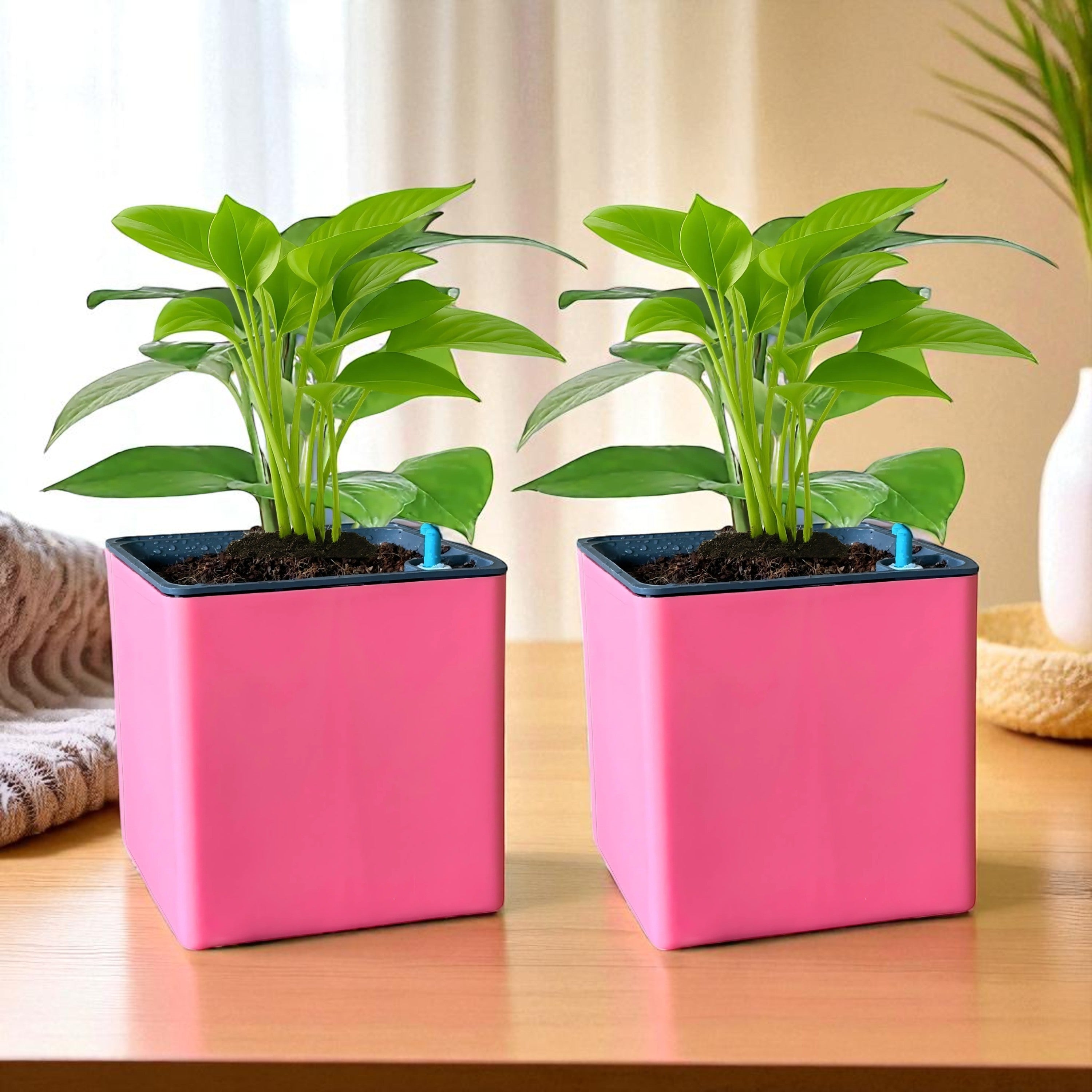 Elegant Baby Pink Self-Watering Square Planter
