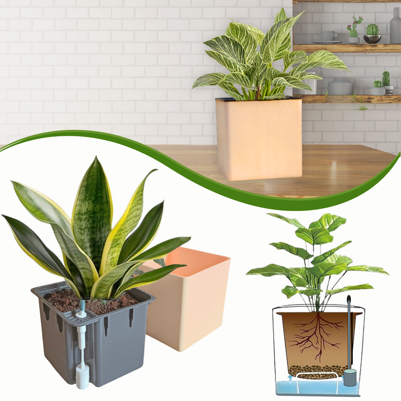 Elegant Peach Self-Watering Square Planter